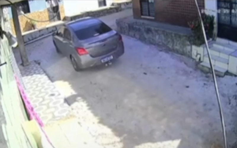 Após investigação, defesa de motorista suspeito de atropelar cadela publica posicionamento