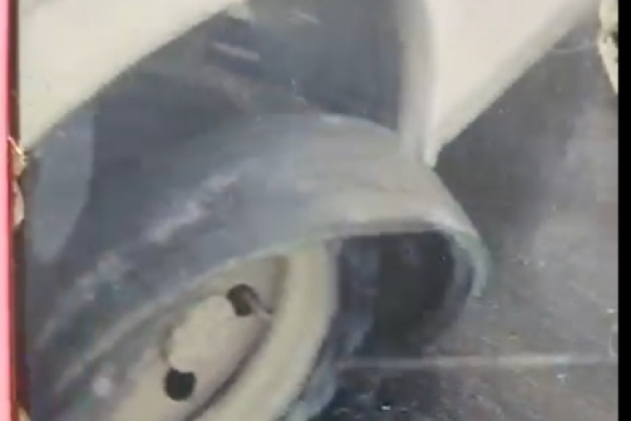 Moradores denunciam ônibus com pneu “mais careca que o xandão” e cobram fiscalização do transporte em Marechal Deodoro