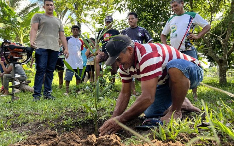 Projeto regulamenta a profissão de manipulador artesanal de açaí