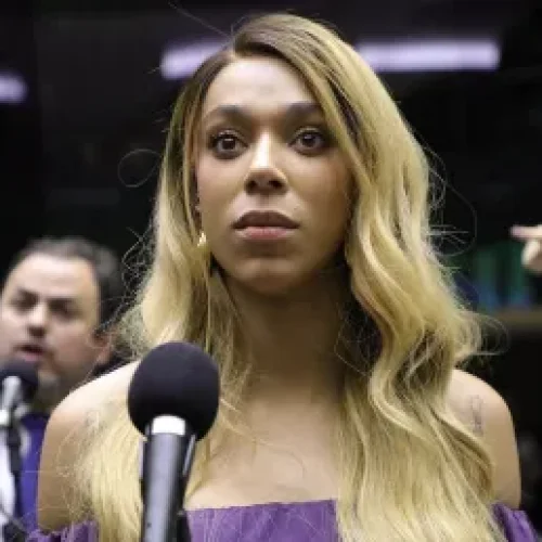 “Não conseguiu fugir porque é um pateta”, diz Erika Hilton sobre Bolsonaro