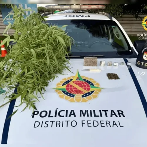 Vovô do tráfico é preso com meio quilo de maconha prensada dentro da geladeira