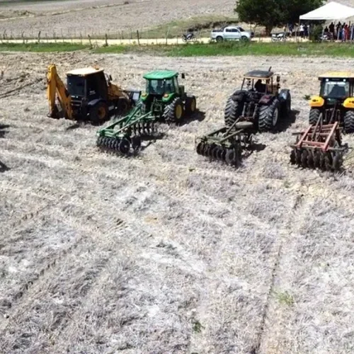 Mais de R$ 2,5 milhões: com apoio da Prefeitura de Penedo, rizicultores triplicam plantio em 2026