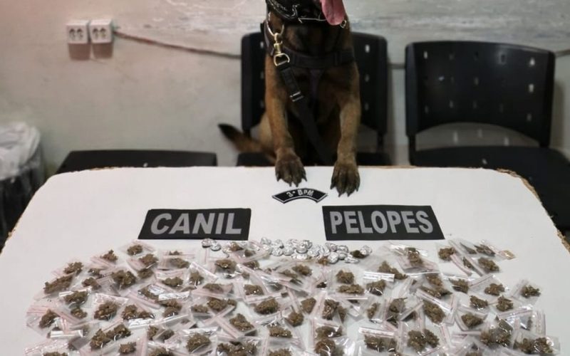 Adolescentes são apreendidos traficando drogas nos fundos de obra abandonada