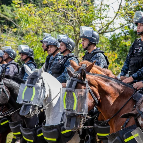 Dados da SSP apontam que Alagoas teve o fevereiro menos violento da história e homicídios despencam mais de 70%