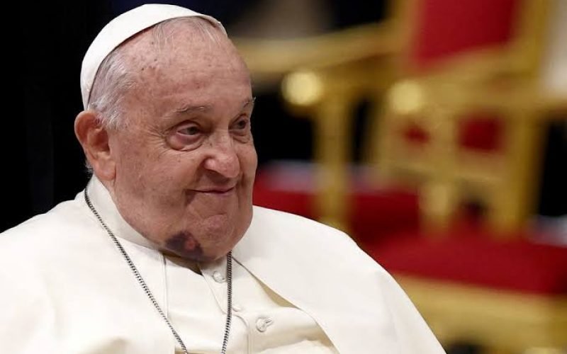 Papa Francisco aparece com o queixo roxo em cerimônia para novos cardeais