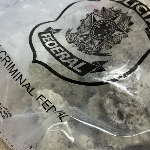 PF apreende 10 kg de corais transportados por turistas no Aeroporto Zumbi dos Palmares