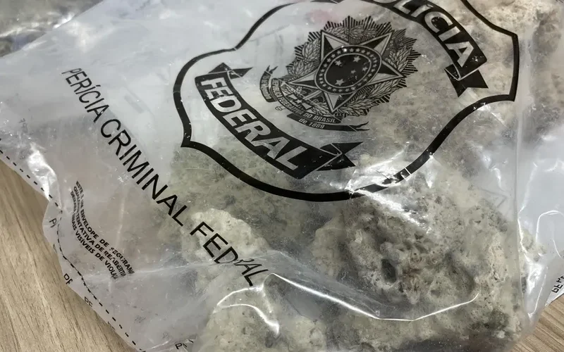 PF apreende 10 kg de corais transportados por turistas no Aeroporto Zumbi dos Palmares