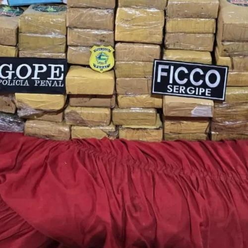 Operação Fictus: PF executa prisões em três Estados e apreende 50 kg de maconha