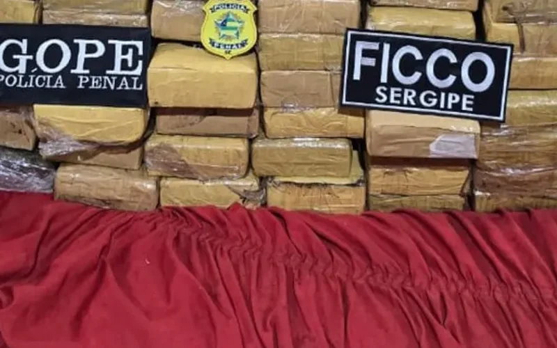 Operação Fictus: PF executa prisões em três Estados e apreende 50 kg de maconha