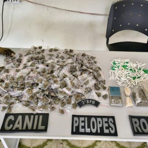 Ação da PM mais de 665kg drogas e armas de circulação em toda Alagoas