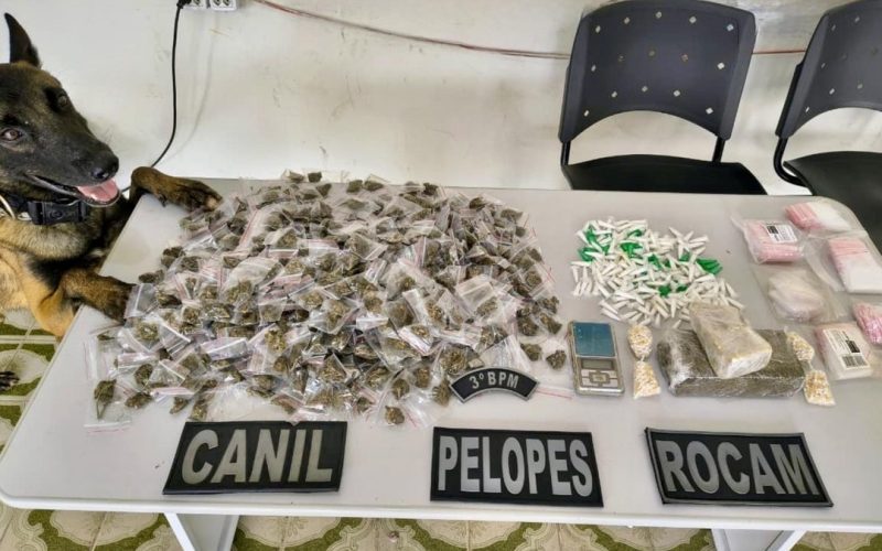 Ação da PM mais de 665kg drogas e armas de circulação em toda Alagoas