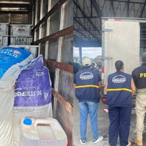 PRF apreende 900 kg de pescado contaminado por óleo diesel e sem refrigeração em Canapi