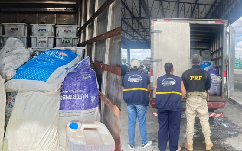 PRF apreende 900 kg de pescado contaminado por óleo diesel e sem refrigeração em Canapi