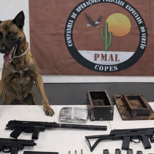 Três metralhadoras e quase 2 kg de drogas são apreendidos em Santana do Ipanema