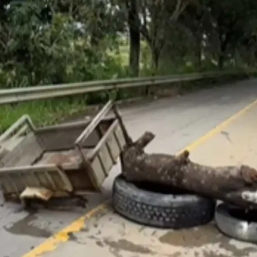 Mais uma herança de Renan Filho: População de Ibateguara fecha vias em protesto contra verde alagoas