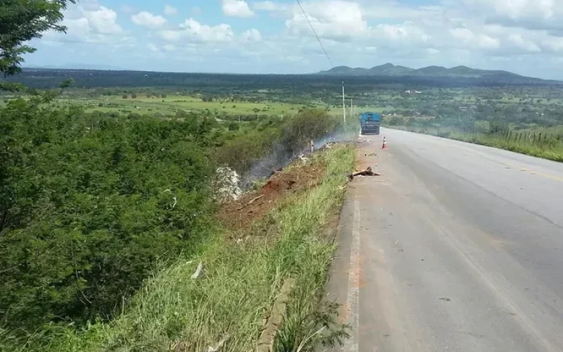 Carreta com milho cai em ribanceira na AL-115, em Palmeira dos Índios