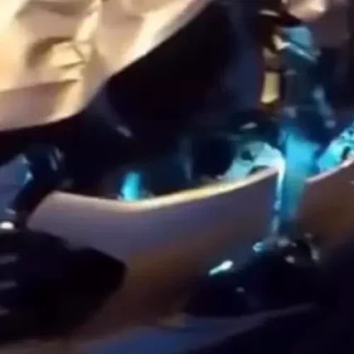 Colisão com cavalo solto quase causa tragédia na AL-220 em Delmiro Gouveia