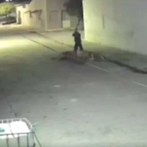 Homem é espancado a pauladas durante Carnaval em tentativa de homicídio em Ouro Branco