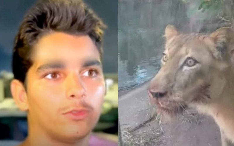 Homem morto por leoa em zoológico já foi preso 10 vezes