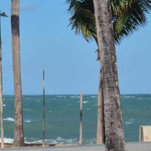Ventania intensa muda cenário da orla de Maceió e chama atenção entre moradores