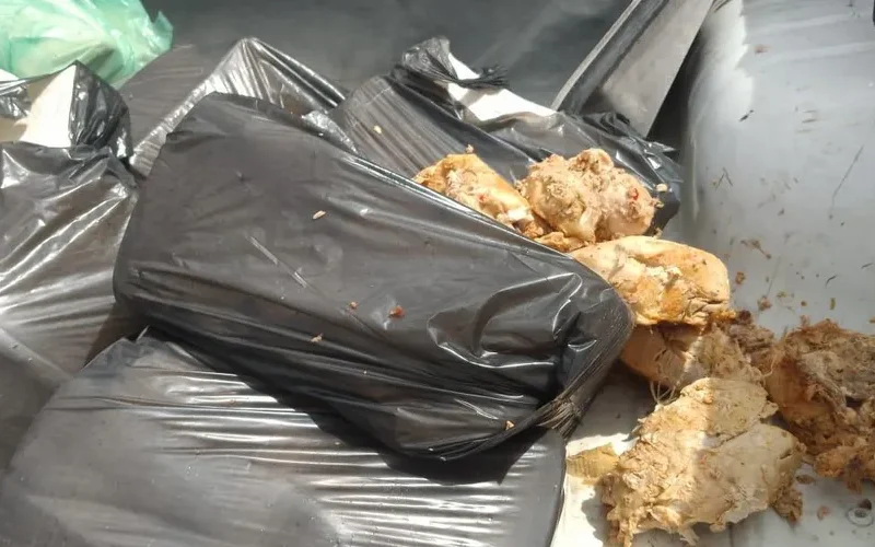 Pastelaria é fechada no Vergel após fiscalização; 300 kg de queijo clandestino são apreendidos