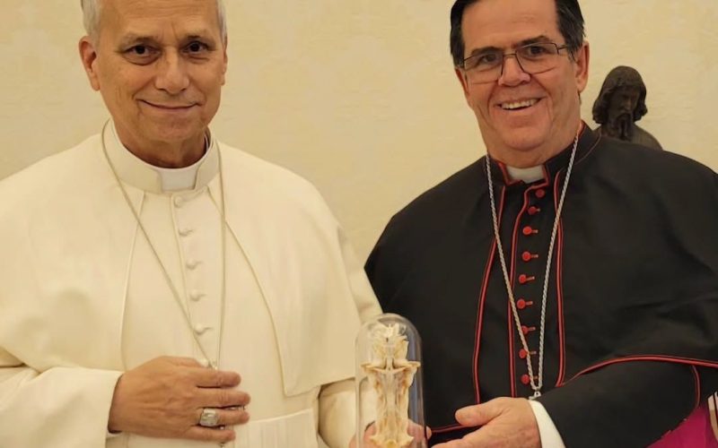Arcebispo de Maceió se encontra com Papa Leão XVI no Vaticano