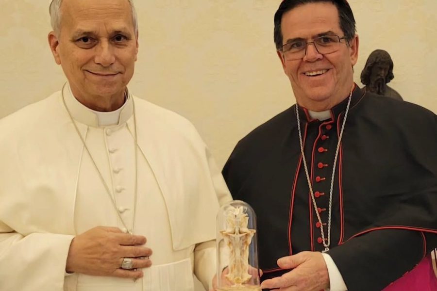 Arcebispo de Maceió se encontra com Papa Leão XVI no Vaticano